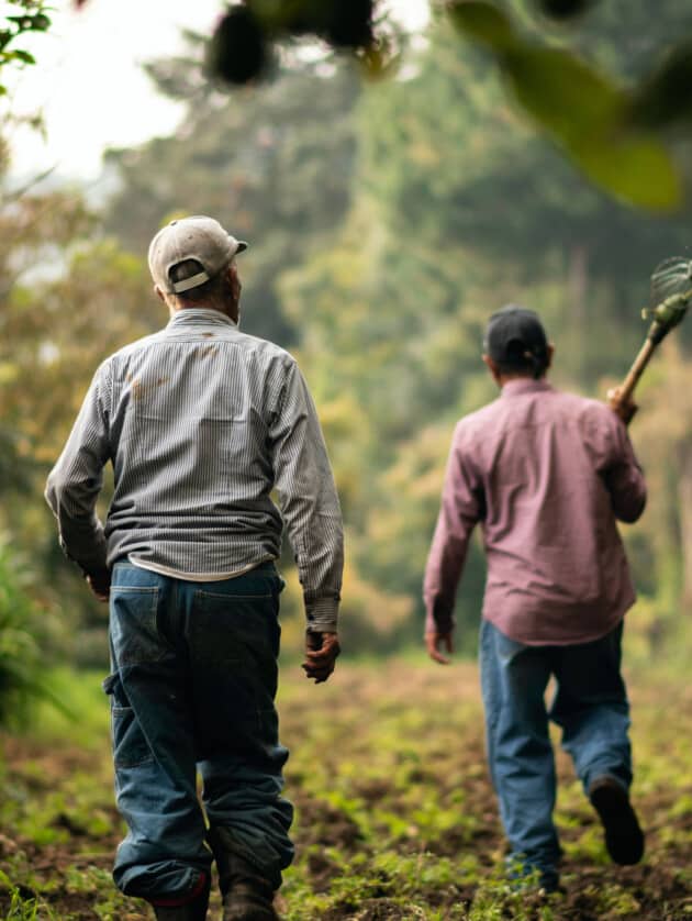 farmers walking through nature.